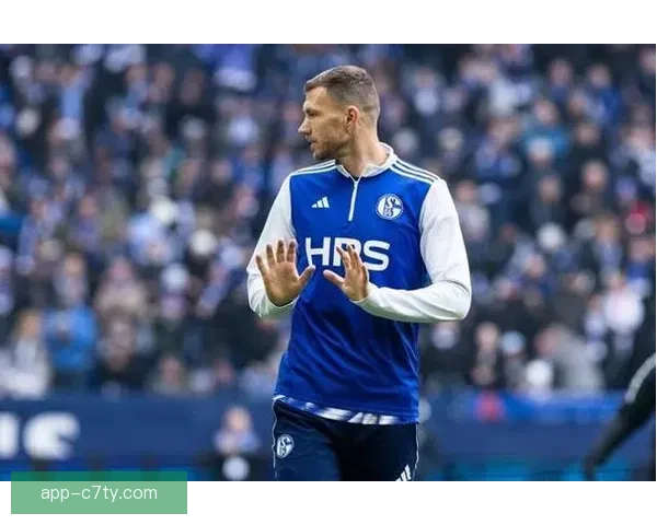 哲科接过沙尔克10号将两日内体检