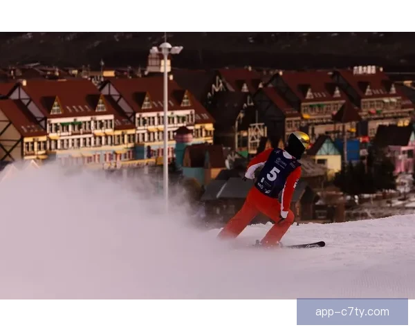 中国空中技巧男女队强势揽金铜