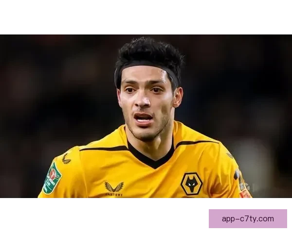 34岁墨西哥前锋劳尔希门尼斯与富勒姆谈续约 34岁墨西哥前锋劳尔希门尼斯与富勒姆谈续约