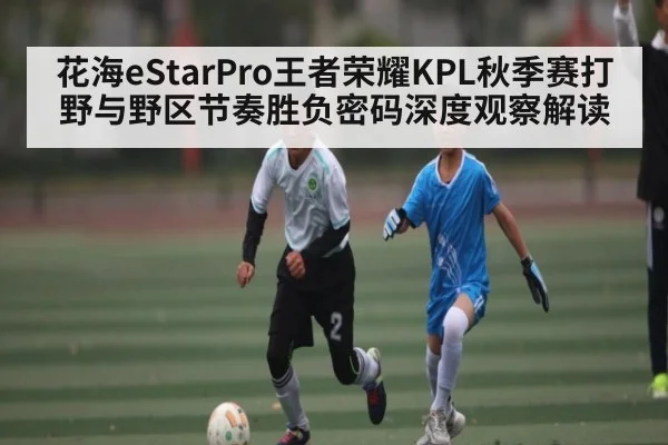 花海eStarPro王者荣耀KPL秋季赛打野与野区节奏胜负密码深度观察解读